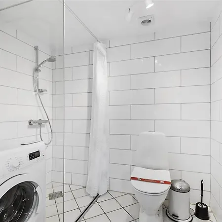 Dom wakacyjny Bv111-blavand-soren-gades-mark-37